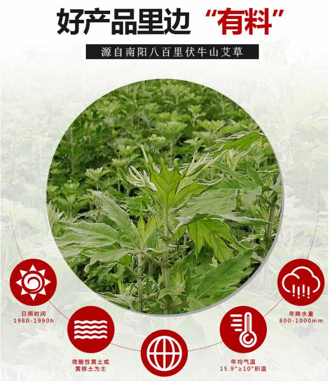 電加熱艾絨坐墊 家用辦公坐墊 便攜式艾草坐墊批發(fā)3.jpg